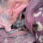 Localizan restos óseos humanos y prendas en Reynosa